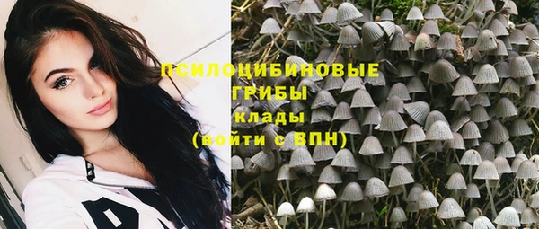 гидропоника Осташков