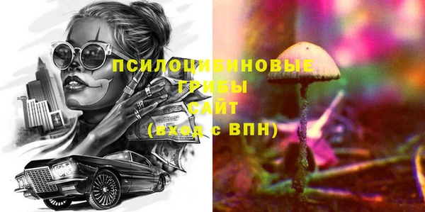 гидра Осинники