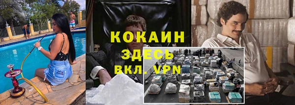 гидра Осинники