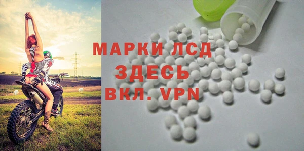 гидра Осинники